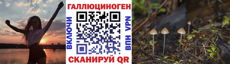 купить наркотик Липецк Псилоцибиновые грибы ЛСД